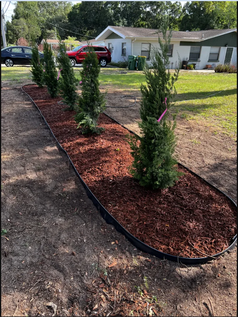 Commercial landscape beds