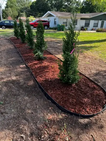 Clean residential lawn care property