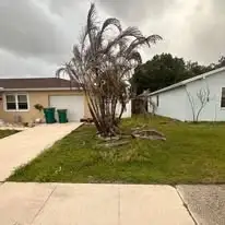 Maintained residential backyard lawn