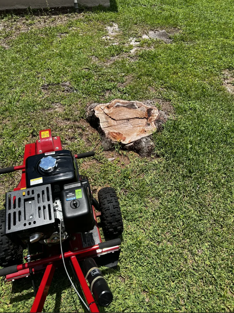 Tree Cutting/ Stump Grinding